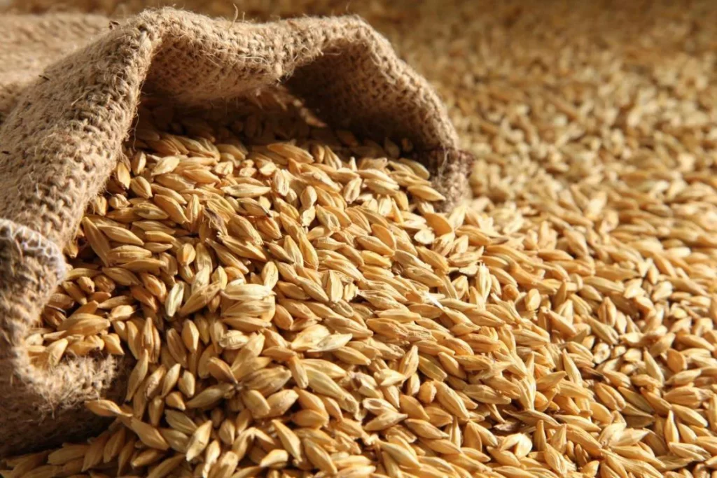 Global Malt Extracts and Ingredients Market