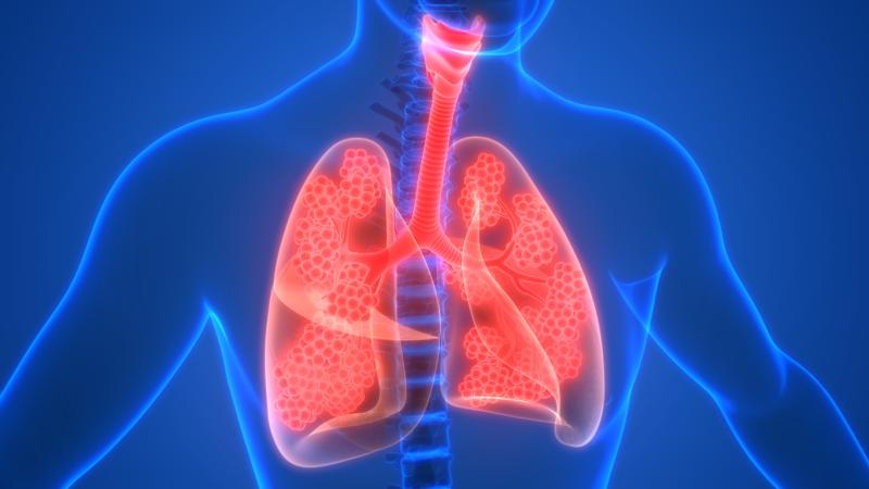 Global Pneumonia Therapeutics Market