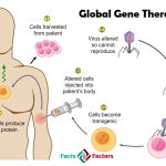 Global Gene Therapy Market