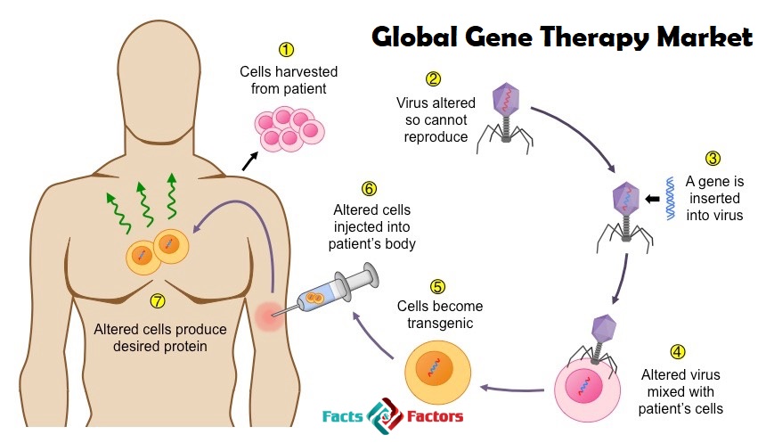Global Gene Therapy Market