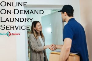 Online On-Demand Laundry Service