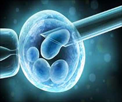 In Vitro Fertilization (IVF) Market